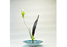 Ikebana et méditation